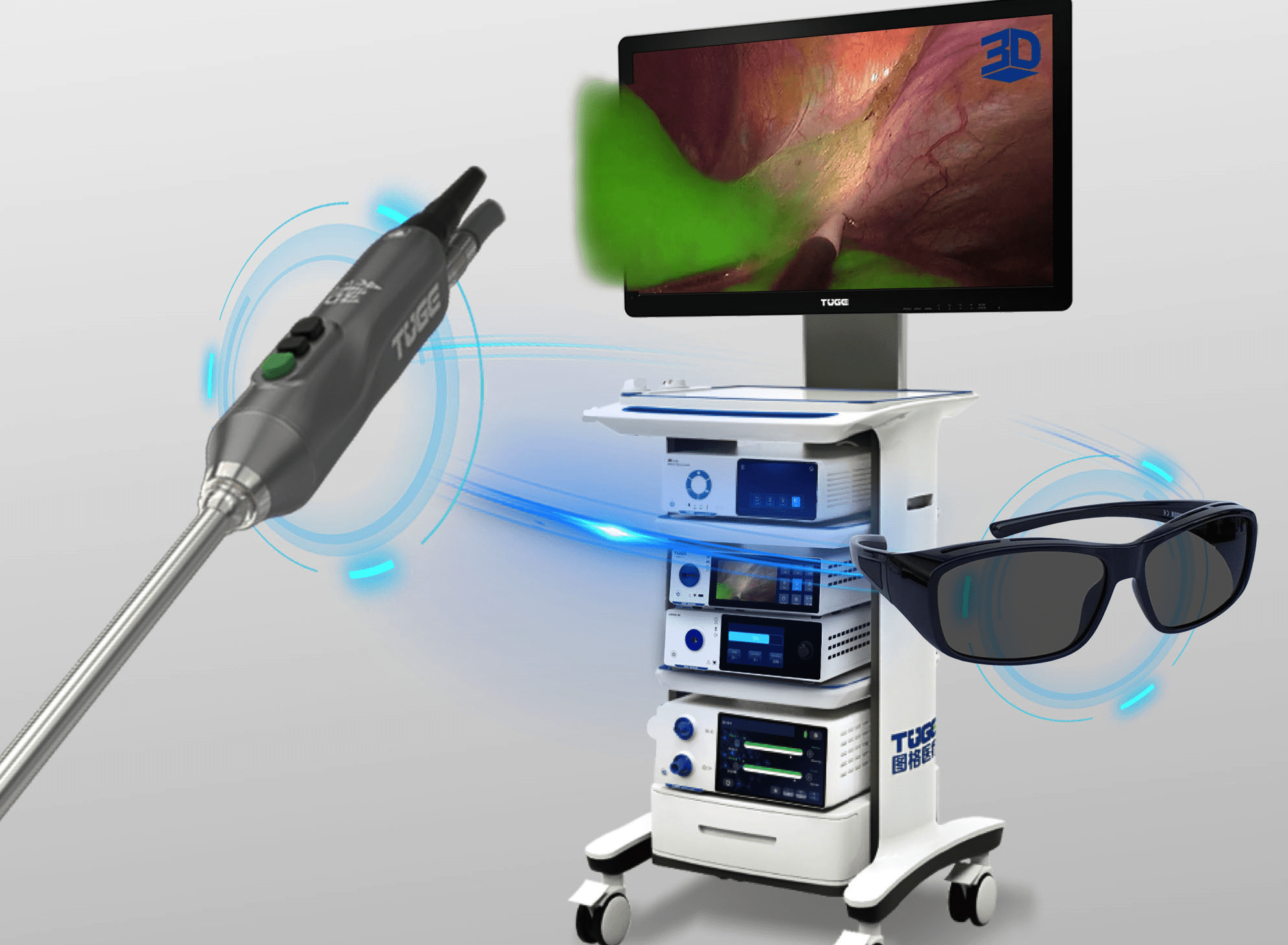 ENDOSCOPE SYSTEM